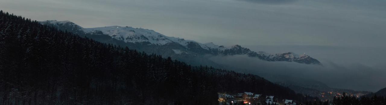 Best View Ap With Parking And 2 Bathrooms Sinaia Luaran gambar
