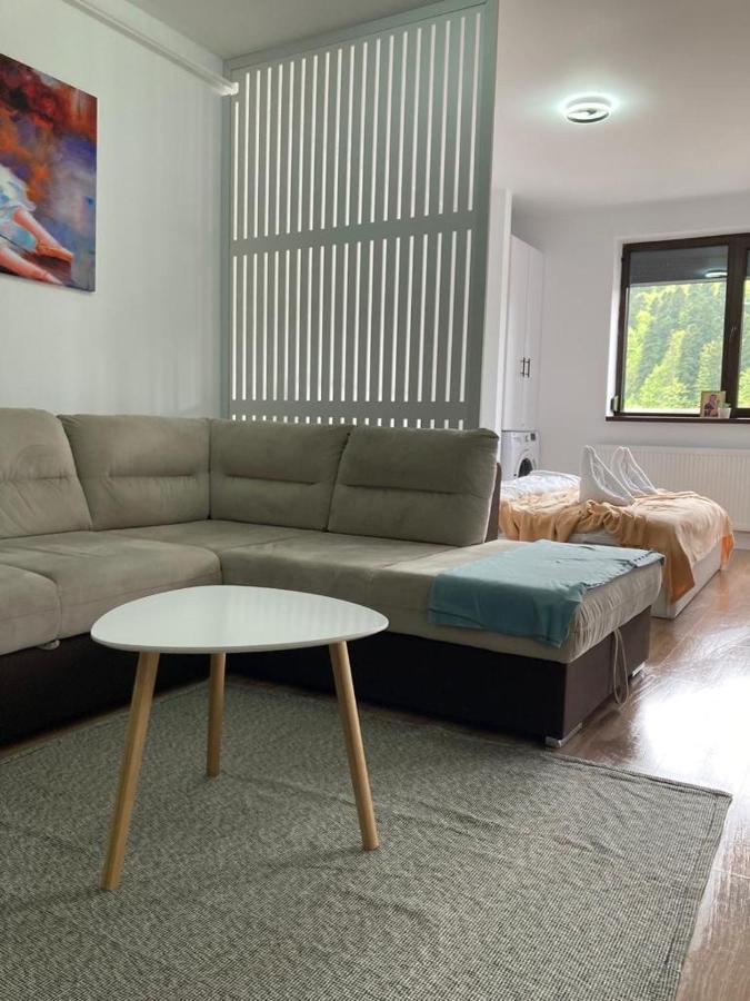 Best View Ap With Parking And 2 Bathrooms Sinaia Luaran gambar
